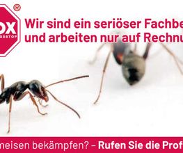 ATOX Schädlingsbekämpfungsfachbetrieb Bild 1