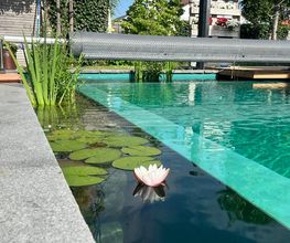 Zagray Garten & Landschaftsbau Bild 13