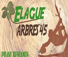 Elague Arbres 45 image 2