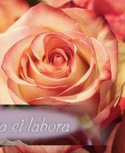 Flora et labora Assia Frankl Bild 11