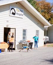 The Pet Hospital image 3