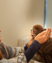 Bendelé Sandrine image 5