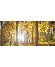 Bestattungen Kleier Bild 1