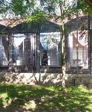 Animal's Cottage image 14