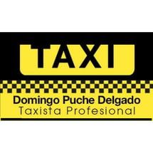 logo_taxi_domingo.jpg