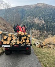 ONSFOREST Sagl Bild 12