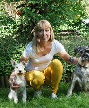 The Dog Barber Bild 3