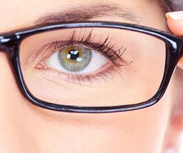 Camen Optique image 7