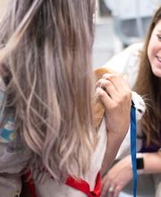 Sangaree Animal Hospital at Cane Bay image 2