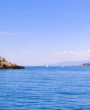 BluBay Boats imagen 1