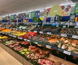 Lidl Bild 4