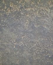 aquavisionsurvey Unterwasser Drohnen Inspektion Bild 6