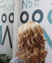 Gallery Cliente