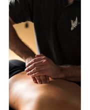 Dami GmbH - Vysio Verde Bild 1