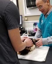 Northside Veterinary Clinic image 3