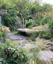 zehnder-garten GmbH Bild 2