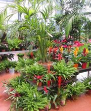 Jardinerie Delbard Le Puy en Velay image 7