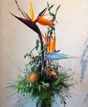 Blumen-Bijou-Aarberg