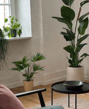 Pascale Jenny – Paartherapie & Familientherapie Bild 6
