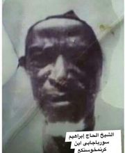 Diaby image 4