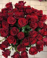 Blumen-Ecke Romana Hoss Bild 7