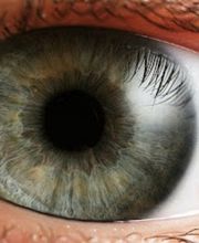 VISTAOPTICA Zona Franca imagen 6