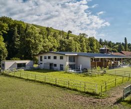 Stamm + Meyer Holzbau AG Bild 5