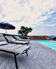 Meier A. Gartenbau AG Bild 2