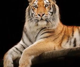 Tierpark Nadermann Bild 1