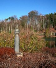 Lammerant Isabelle image 2