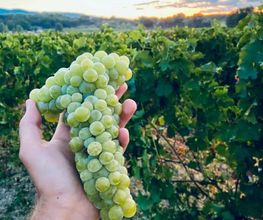 Union Vignerons Côte Luberon image 2