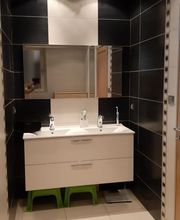 CARL'PLUS TERRIER Eric image 9