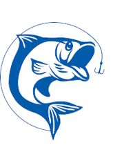 NICOLAS PECHE image 3