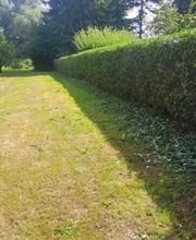 Alex Haus und Hofservice Bild 12