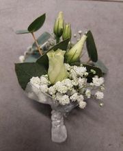 Blumen Dahlmann Bild 13