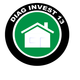Diag Invest 13