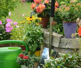 Flükiger Gartenbau Bild 5