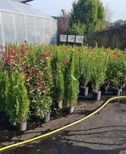 LE JARDIN EN FLEURS image 1