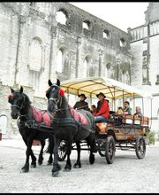 Le Haras De Muralis image 6