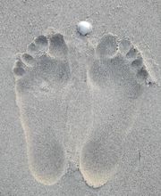 Godard Séverine image 6