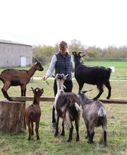 Domaine Roger Pabiot image 1