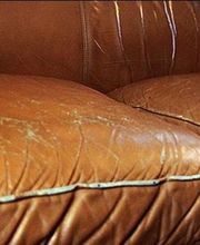 Clinicuir image 7