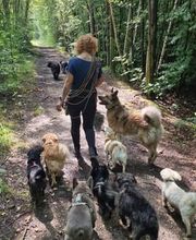 We like to Walk Bild 12