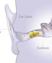 Ars Audition image 1