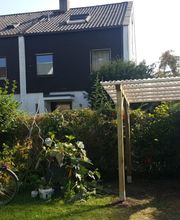 Aalema Gartenbau Bild 6