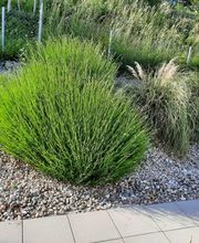 La CLEF d'OR Nettoyage et Conciergerie Sàrl Bild 12