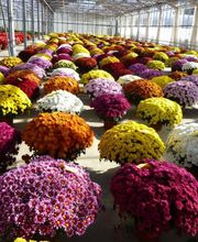 Les Serres De Biennac image 2