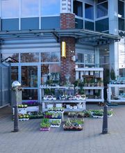 Blumen Interfleur Floristik & Wohnaccessoires Bild 4