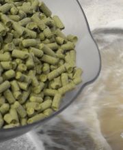 Bière l'Agéenne image 2