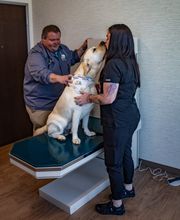 Watson's Friends Animal Hospital image 6